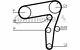 Contitech Timing Belt Kit For Opel Zafira Astra Alfa Romeo 159 Ct1106k1