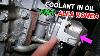 Why Is There Coolant In Engine Oil In Fiat Alfa Romeo