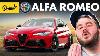 Alfa Romeo Everything You Need To Know Up To Speed