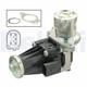 Delphi Vanne / Valve Agr Pour Alfa Romeo Fiat