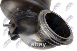 NTY Catalyseur KAT-PL-017 Pour Alfa Romeo Fiat Opel Saab Euro 4 Neuf
